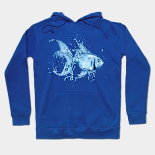 Aqua Fish Hoodie